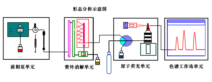 金索坤原子熒光形態示意圖