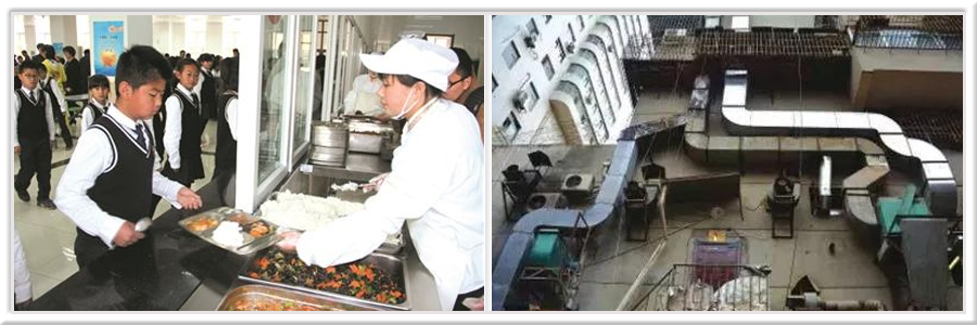金索坤公司動態-沈陽開展網絡食品轉向運動