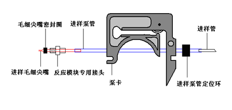 原子熒光連續進樣系統結構示意圖